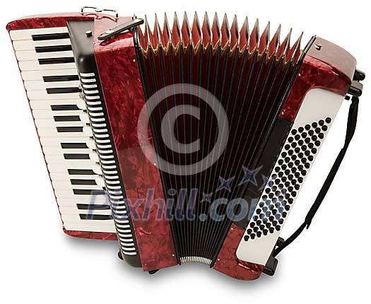 Isolated accordion Isolated accordion
