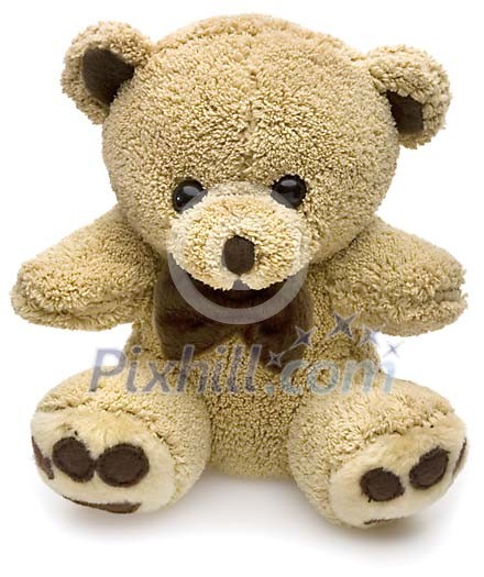 Isolated brown teddy Isolated brown teddy