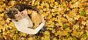 Couple standing surrounded by autumn leaves