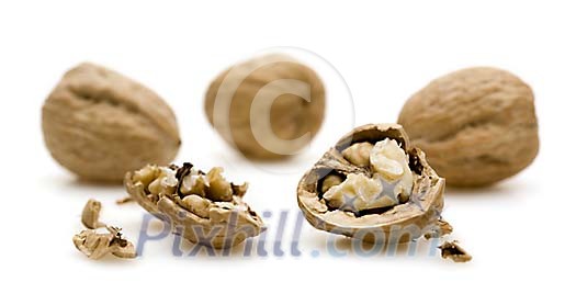 Walnuts on a white background