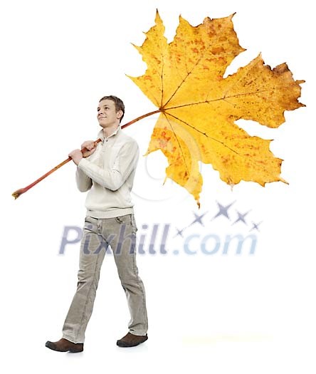 Isolated man walking with a huge maple leaf Isolated man walking with a huge maple leaf