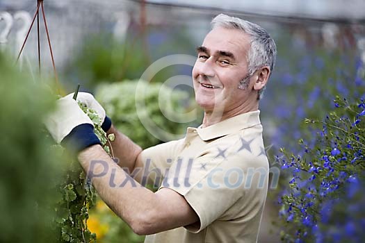 Older man with pot flowers Older man with pot flowers