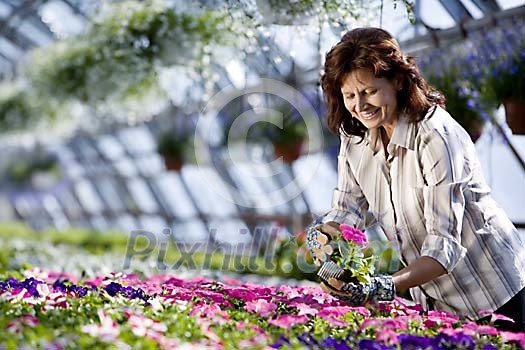 Woman with pot flowers Woman with pot flowers