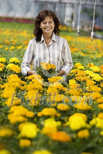 Woman with lots of yellow pot flowers Woman with lots of yellow pot flowers