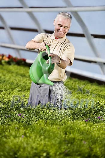 Older male watering plants Older male watering plants