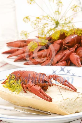 Crayfish on a white bread slice Crayfish on a white bread slice