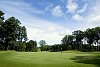 Empty green on a golfcourse