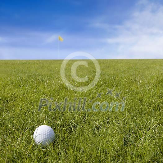 Golf ball in the grass Golf ball in the grass