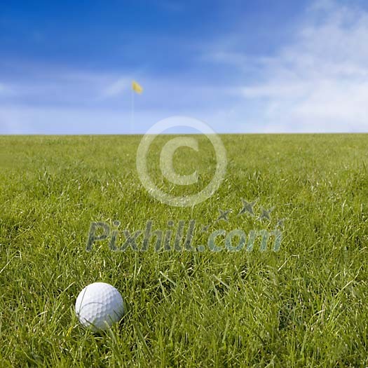 Golf ball in the grass