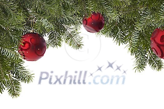 Green spruce branches with red christmas balls Green spruce branches with red christmas balls