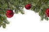 Green spruce branches with red christmas balls