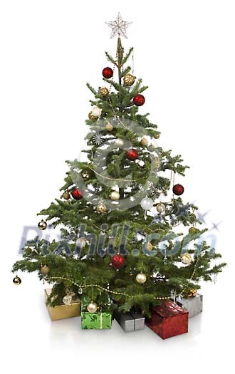 Decorated christmas tree with gifts Decorated christmas tree with gifts