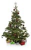 Decorated christmas tree with gifts