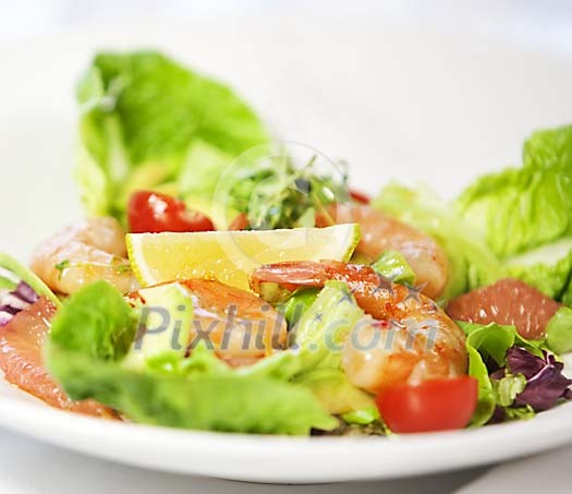 Close-up of fresh shrimp salad Close-up of fresh shrimp salad