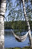 Black and white srtriped hammock hanging from birches