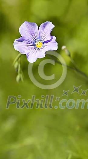 Background Stock Photos Subscription Background Stock Photos Subscription