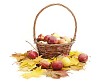 Apples in the basket