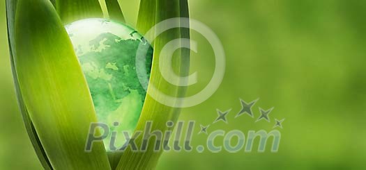 Earth plant Earth plant