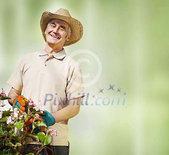 Older man gardening