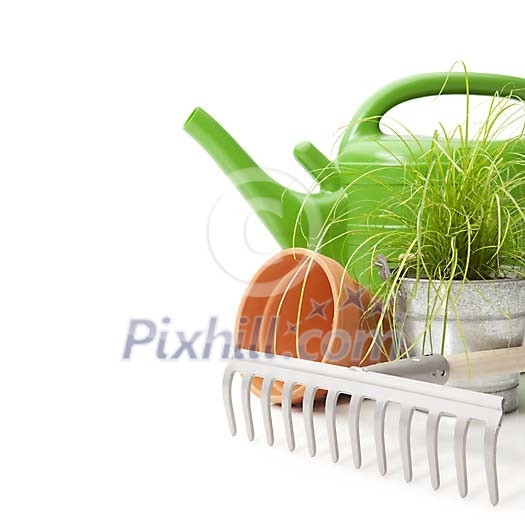 Watering can with rake and pot of grass Watering can with rake and pot of grass