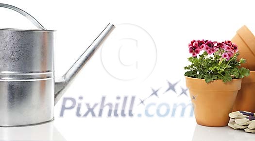 Watering can with flowerpots