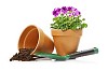 Flowerpot with shovel and dirt