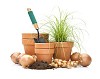 Flowerpots with grass and dirt