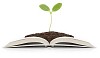 Plant growing on a book