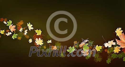 Maple leaves on a black background Maple leaves on a black background