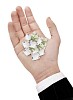 Clipped hand withe tiny banknotes