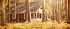 House in the forest