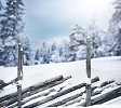 Fence covered with snow with trees on a background