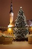 Big christmas tree in Tallinn old town