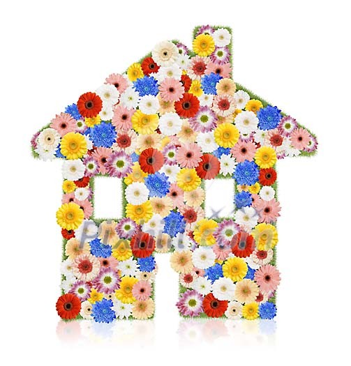 Flowers shaped as a house on a white background Flowers shaped as a house on a white background