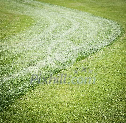 Green Grass Green Grass