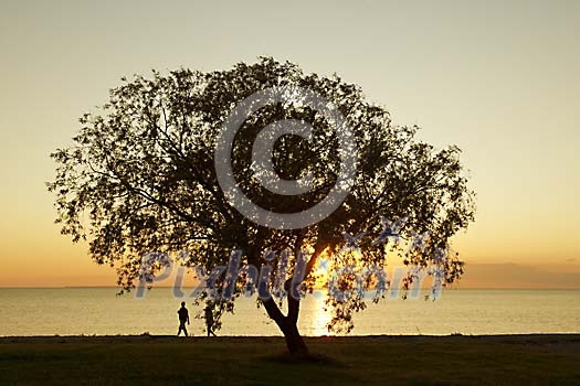 Sunset by the water with two people walking