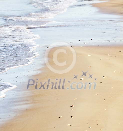 Wet sand and foaming waves Wet sand and foaming waves