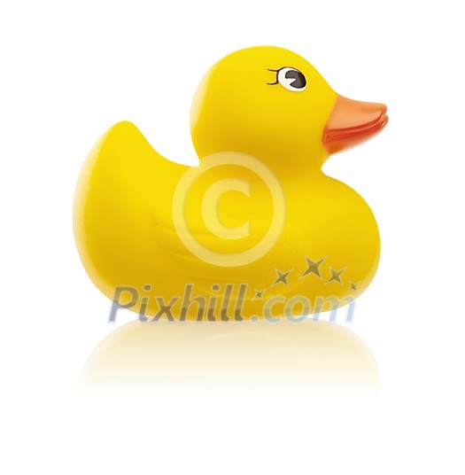 Clipped yellow toy duck Clipped yellow toy duck