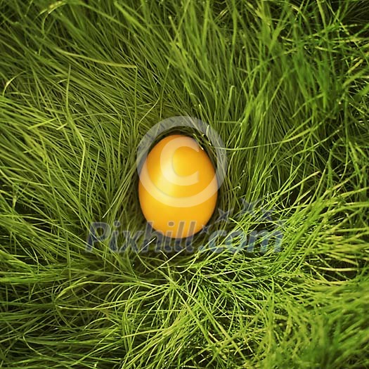 Yellow easter egg in the grass Yellow easter egg in the grass