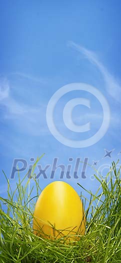 Yellow egg on the grass under the blue sky Yellow egg on the grass under the blue sky