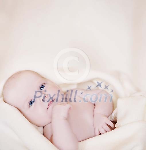 Little baby surrounded with soft blanket Little baby surrounded with soft blanket