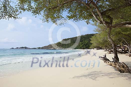 Empty beach with trees at Koh Samet, Thailand Empty beach with trees at Koh Samet, Thailand