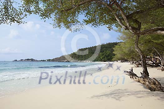 Empty beach with trees at Koh Samet, Thailand