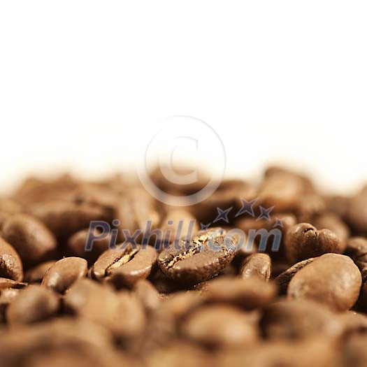 Closeup of a coffee beans Closeup of a coffee beans