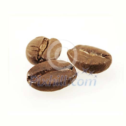 Three brown coffee beans on a white background