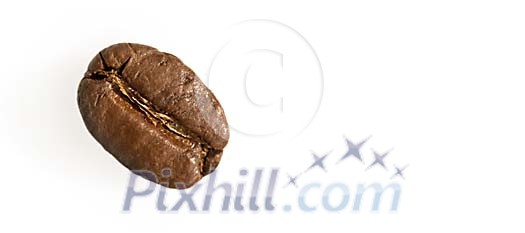 One brown coffee bean on a white background