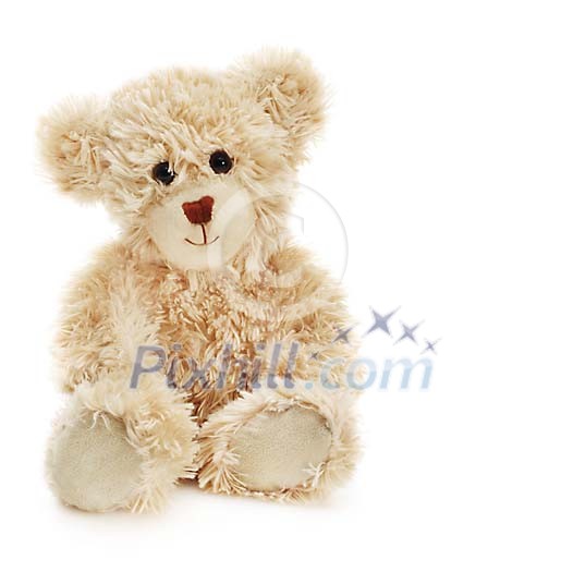 Cute teddy bear sitting Cute teddy bear sitting