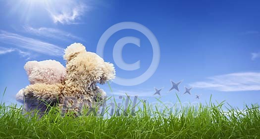 Two teddy bears sitting on the grass Two teddy bears sitting on the grass