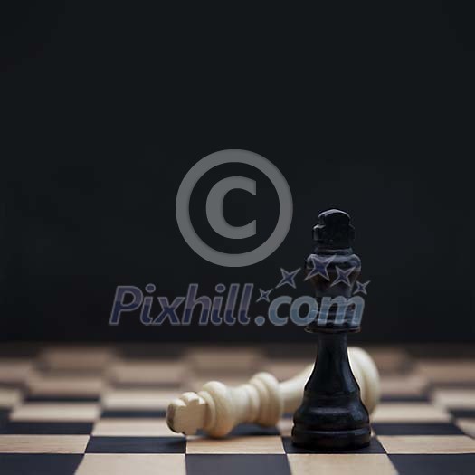 Chessboard with black and white kings Chessboard with black and white kings