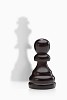 Black pawn with white king behind it